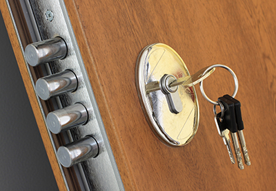 Security Door Locks for Enhanced Safety